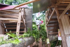 Cây xanh đổ vào nhà dân trong một trận dông lốc tại Lào Cai. Ảnh minh họa. (Nguồn: TTXVN)