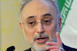 Giám đốc cơ quan hạt nhân của Iran, ông Ali Akbar Salehi. (Nguồn: AFP/TTXVN)