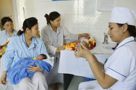 Tư vấn, khám sàng lọc và tiêm vắc xin viêm gan B phòng bệnh cho sơ sinh trong vòng 24 giờ đầu sau sinh tại Bệnh viện Đa khoa miền núi huyện Ngọc Lặc, Thanh Hóa. (Ảnh: Dương Ngọc/TTXVN)