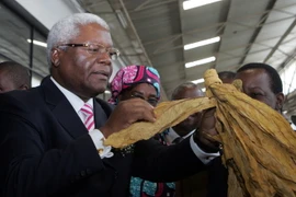 Ông Ignatius Chombo (trái) tại một sự kiện ở Harare, Zimbabwe ngày 19/2/2014. (Nguồn: AFP/TTXVN)