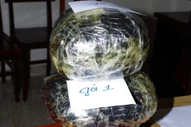 Tang vật thuốc phiện trong một vụ án. Ảnh minh họa. (Nguồn: TTXVN)