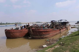 Ảnh minh họa. (Nguồn: TTXVN)