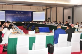 Họp Nhóm đối tác chính sách về phụ nữ và kinh tế (PPWE). (Ảnh: Nguyễn Khang/TTXVN)