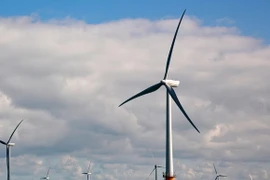 Ảnh minh họa. (Nguồn: AFP/TTXVN)