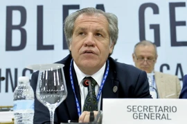 Tổng thư ký OAS Luis Almagro. (Nguồn: THX/TTXVN)