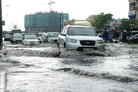 (Ảnh: Mạnh Linh/TTXVN)