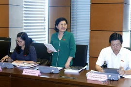 Đại biểu Quốc hội tỉnh Bắc Giang Hoàng Thị Hoa phát biểu tại tổ. (Ảnh: Văn Điệp/TTXVN)