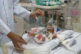 Ảnh minh họa. (Nguồn: TTXVN)