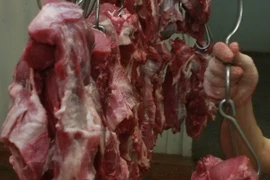 Ảnh minh họa. (Nguồn: TTXVN)