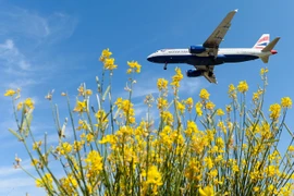Máy bay của Hãng hàng không British Airways. (Nguồn: AFP/TTXVN)