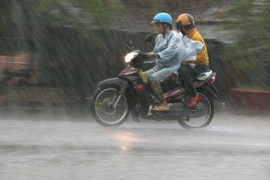 (Ảnh: Duy Khương/TTXVN)