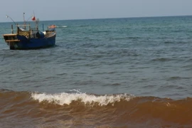 Ảnh minh họa. (Nguồn: TTXVN)