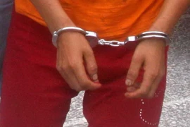 Ảnh minh họa. (Nguồn: TTXVN)