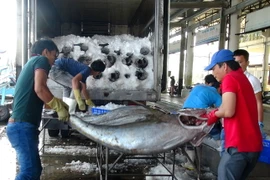 Thủy sản là một trong những mặt hàng xuất khẩu thế mạnh của Việt Nam. (Ảnh: Nguyên Lý/TTXVN)