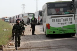  Xe buýt chở các tay súng đối lập từ thị trấn Fuaa và Kafraya, tới trạm trung chuyển Rashidin, ngoại ô thành phố Aleppo do Chính phủ kiểm soát ngày 21/4. (Nguồn: AFP/TTXVN)