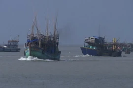 Tàu thuyền đánh bắt thủy hải sản đang di chuyển vào trú bão tại cửa biển Nhà Mát, thành phố Bạc Liêu. (Ảnh: Huỳnh Sử/TTXVN)
