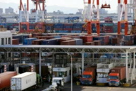 Bốc dỡ côngtenơ hàng hóa tại cảng Tokyo, Nhật Bản ngày 25/1. (Nguồn: EPA/TTXVN)
