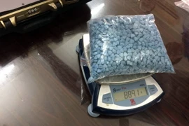 Tang vật ma túy đá thu giữ trong một vụ án. Ảnh minh họa. (Nguồn: TTXVN)