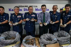 Hải quan Malaysia trưng bày số vảy tê tê vừa thu giữ trong cuộc họp báo tại Sepang. (Nguồn: EPA/TTXVN)