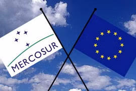 Nội bộ EU đang có những tranh cãi về lộ trình phê duyệt hiệp định MERCOSUR.