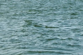 Ảnh minh họa. (Nguồn: TTXVN)