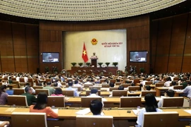 Toàn cảnh phiên chất vấn và trả lời chất vấn. (Ảnh: Văn Điệp/TTXVN)