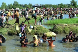 Người tị nạn Rohingya tới khu vực Palongkhali, gần Ukhia, Bangladesh ngày 16/10 sau khi sơ tán khỏi Myanmar. (Nguồn: AFP/TTXVN)