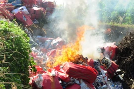 Thuốc lá được tập trung tiêu hủy tại bãi rác Tân Hưng, huyện Tân Châu. (Ảnh: Lê Đức Hoảnh/TTXVN)