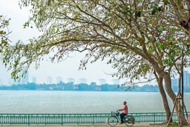 (Ảnh minh họa: Trọng Đạt/TTXVN)