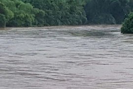 Ảnh minh họa. (Nguồn: TTXVN)