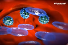 [Videographics] Vì sao con người cần thiết phải tiêm chủng? 