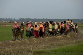 Người Hồi giáo Rohingya chờ nhận hàng cứu trợ tại trại tị nạn Leda gầnTeknaf, Bangladesh ngày 19/9. (Nguồn: AFP/TTXVN)
