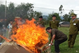 Tiêu hủy hàng giả, hàng không rõ nguồn gốc. Ảnh minh họa. (Nguồn: TTXVN)