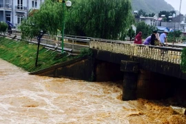 Ảnh minh họa. (Nguồn: TTXVN)