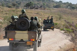 Binh sỹ Cameroon tuần tra gần làng Mabass. (Nguồn: AFP/TTXVN)