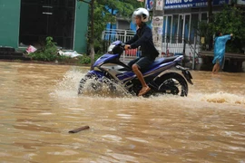 Ngập úng cục bộ tại Vĩnh Phúc sau mưa lớn. (Ảnh: Nguyễn Thảo/TTXVN) 