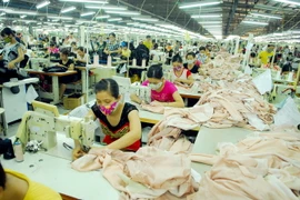 Ảnh minh họa. (Nguồn: TTXVN)