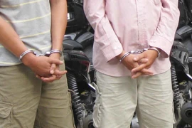 Ảnh minh họa. (Nguồn: TTXVN)