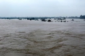 Ảnh minh họa. (Nguồn: TTXVN)