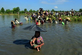 Người tị nạn Rohingya tới khu vực Palongkhali, gần Ukhia, Bangladesh ngày 16/10, sau khi sơ tán khỏi bang Rakhine của Myanmar. (Nguồn: AFP/TTXVN)