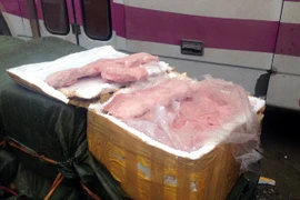 Tang vật nầm lợn bị lực lượng chức năng thu giữ. Ảnh minh họa. (Ảnh: Đức Duy/TTXVN