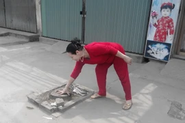 [Photo] Hàng trăm cây xanh bị đốn bỏ ở Thạch Thất và Hoài Đức