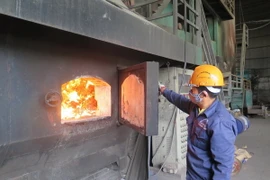 Lò đốt xử lý chất thải của một nhà máy xử lý chất thải ở Việt Nam. Ảnh minh họa. (Nguồn: Hiền Anh/TTXVN)