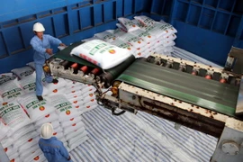 Ảnh minh họa. (Nguồn: TTXVN)