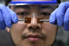 Nhà khoa học Yu Yanagisawa thí nghiệm ghép hai mảnh thủy tinh tự liền. (Nguồn: AFP/TTXVN)