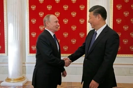  Tổng thống Nga Vladimir Putin (trái) và Chủ tịch Trung Quốc Tập Cận Bình (phải) tại cuộc gặp ở Moskva ngày 3/7. (Nguồn: AFP/TTXVN)