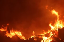 Ảnh minh họa. (Nguồn: TTXVN)