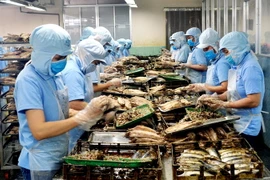 Chế biến cá ngừ sọc dưa. (Ảnh: Thế Lập/TTXVN)