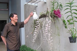 Anh hùng Phạm Tuân đang chăm sóc những giò phong lan. (Ảnh: Phạm Mai/Vietnam+)