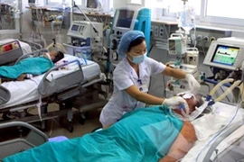 Bác sỹ điều trị cho bệnh nhân mắc liên cầu lợn. (Ảnh: TTXVN)